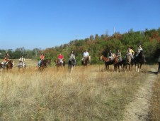 Escursione a cavallo in sicilia