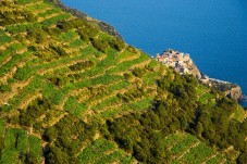 Degustazione Vini Deluxe in Liguria