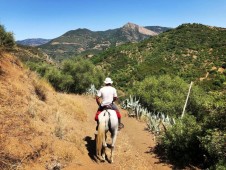 Soggiorno Sicilia con escursioni a cavallo tra vigneti e montagne
