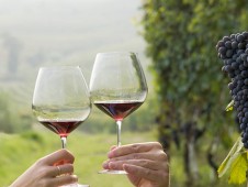 Degustazione guidata dei vini Grape Purple nel cuore della Toscana