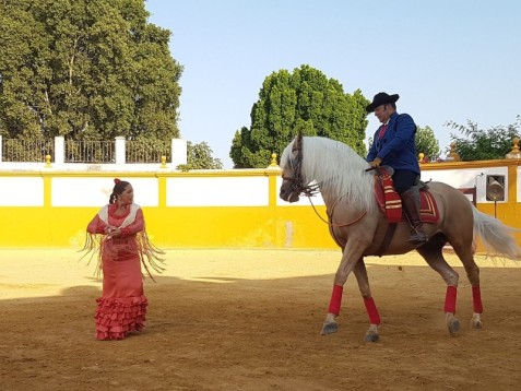 Cena e Spettacolo di Danza Cilena – Santiago de Chile