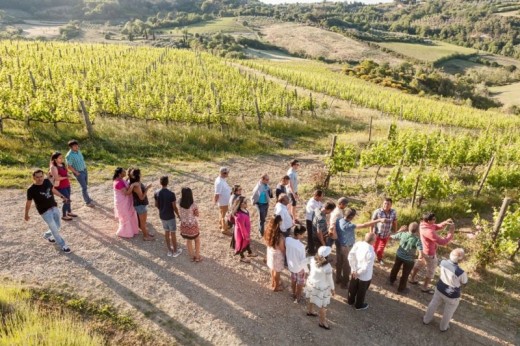 Tokaj Vineyard Discovery and Wine Tasting Tour for 2 person