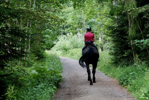 Passeggiata a Cavallo per 2 Reggio Calabria