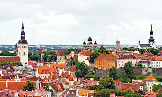 Tour panoramico di Tallinn