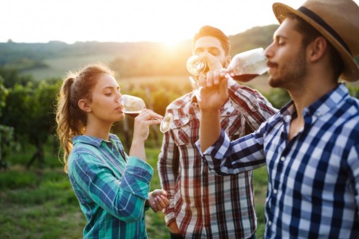 Visita guidata dei Grands Crus a Margaux per due persone