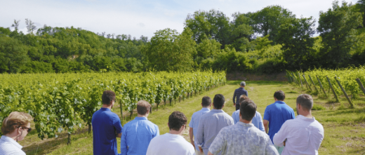 Degustazione di vino in cantina Millenaria