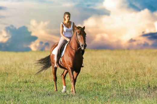 Passeggiata a Cavallo 1 ora vicino a Parma