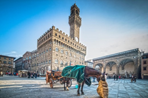 Tour della famiglia dei Medici di Firenze