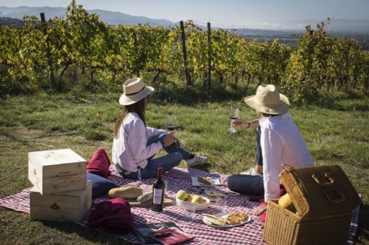 Pic Nic in vigna in location esclusiva a due passi da Napoli