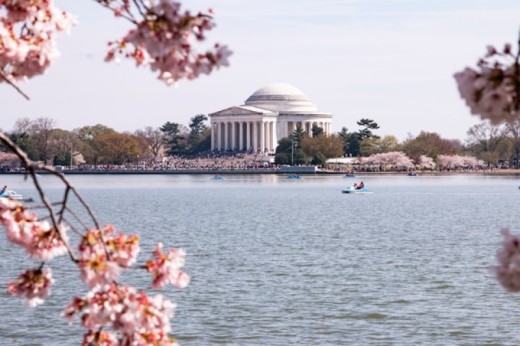 Tour di due giorni a Washington D.C, Philadelphia ed Amish Country da New York