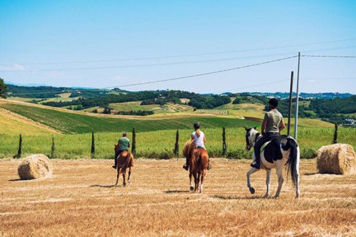 Passegiata a cavallo in Reggio Emilia  