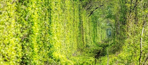 Escursione di un giorno al Tunnel of Love di Kiev