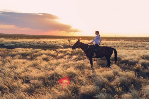 Giro a cavallo in provincia di Latina con degustazione