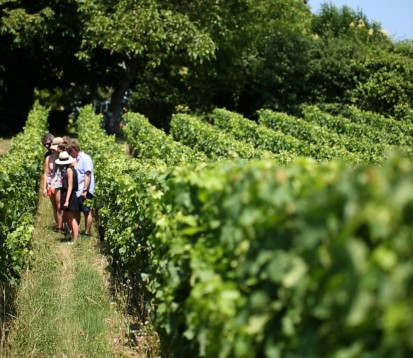 Tour del vino di mezza giornata del Medoc