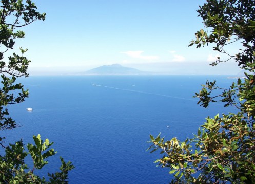 Tour del monte Vesuvio con partenza da Napoli