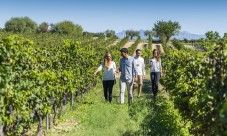 Tour delle cantine di Torres, Montserrat e Sitges da Barcellona