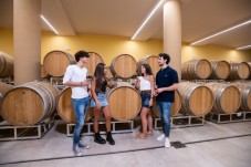 esperienza di wine tasting in Calabria