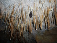 Undeveloped cave tour under Budapest | Private tour