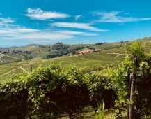 La Langa del Barolo - Tour in Vespa Elettrica per 2 persone