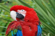 Zoo animal cafe in Budapest