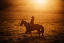 Passeggiata a Cavallo per 2 a Macerata