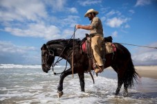 Viaggio a Monterey Peninsula e Carmel: spettacolari Ocean Roads