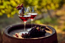 Wine Pairing per Eventi Privati