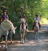 Passeggiata a Cavallo per 2 a Imperia