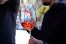 Tour del vino a Bandol e Cassis da Marsiglia