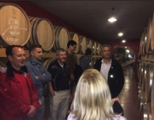 Tour della cantina e dell'olivo di Maiorca con degustazione di vini