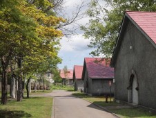 Visit several type of factories in Hungary