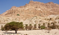 Tour di un giorno a Masada e Mar Morto