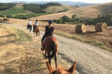 Passegiata a cavallo ad Avellino per due 