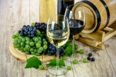 Consulenza Privata sulla Selezione di Vini