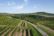 Tokaj Vineyard Escape: A Weekend of Wine, History, and Nature