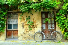 Tour in bici elettrica di mezza giornata in vigna