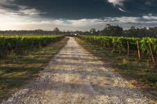 Tour del vino a Bandol e Cassis da Marsiglia