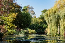 Parigi: Giverny e Versailles Tour Privato