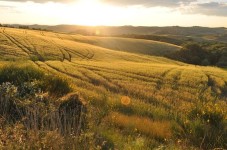 Hiking fino alla vetta del Monte Cetona