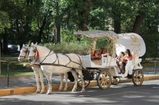 Romantic carrier ride in Budapest | 1 hour