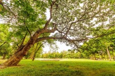 Percorso verde per bambini al Parco Avventura Veglio