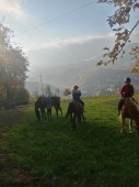 Passeggiata a Cavallo per 2 a Ragusa