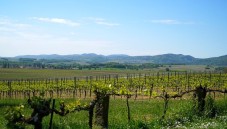 Tokaj Vineyard Escape: A Weekend of Wine, History, and Nature