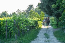 Pernottamento e Passeggiata a Cavallo al Tramonto