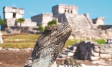 Coba e Tulum tour da Cancun