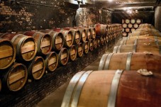 Tokaj Vineyard Discovery and Wine Tasting Tour for 2 person