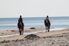 Passeggiata a Cavallo per 2 a Pistoia