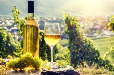 Tokaj Vineyard Discovery and Wine Tasting Tour for 2 person