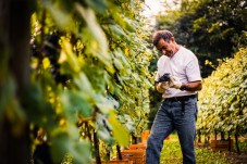 Degustazione di Vino iconica presso Pietro Cassina