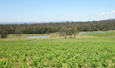 Hunter Valley degustazione vino